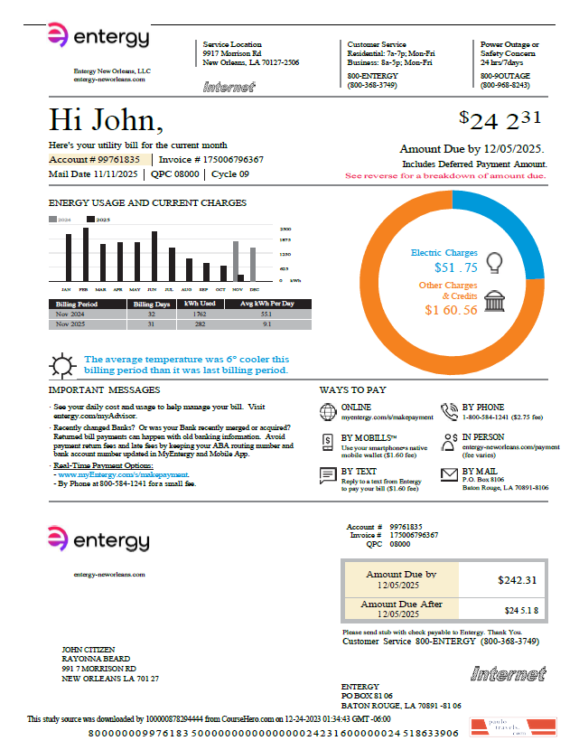 USA Entergy utility bill template in Word and PDF formats, version 2